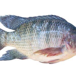 Tilapia(তেলাপিয়া)